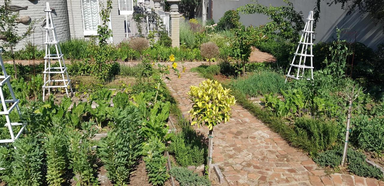 Villa Moi Johannesburg Exteriör bild
